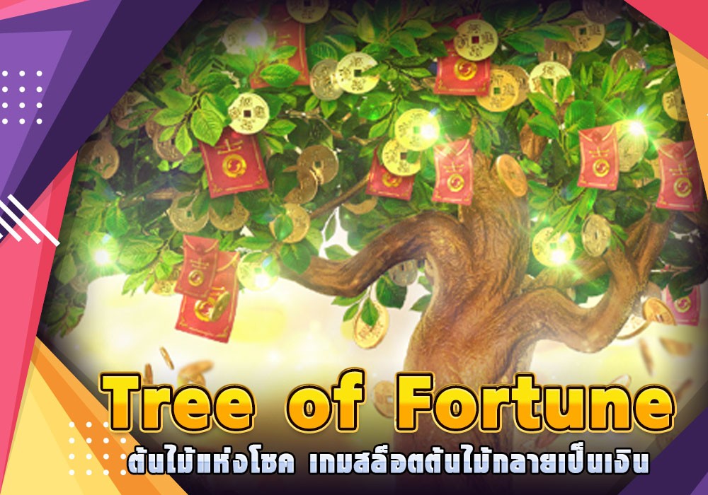 Tree of Fortune ต้นไม้แห่งโชค เกมสล็อตต้นไม้กลายเป็นเงิน