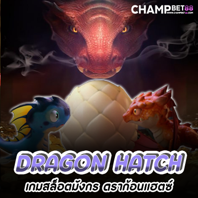Dragon Hatch เกมสล็อตมังกร ดราก้อนแฮตซ์ จากค่าย pg slot